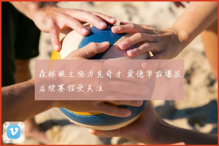 森林狼主场力克奇才 爱德华兹爆发后续赛程受关注