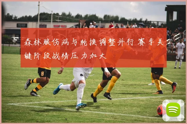 森林狼伤病与轮换调整并行 赛季关键阶段战绩压力加大