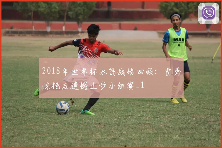 2018年世界杯冰岛战绩回顾:首秀惊艳后遗憾止步小组赛_1