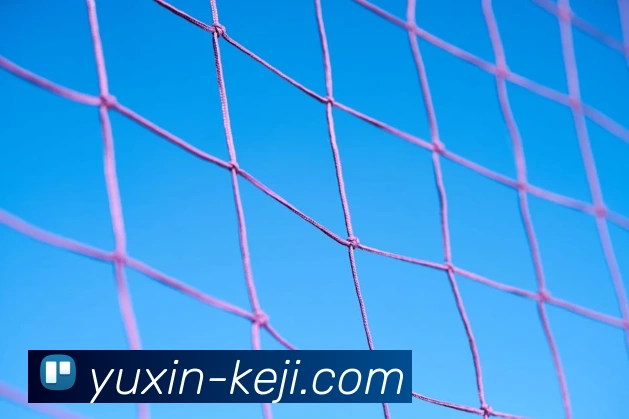 App 展示图